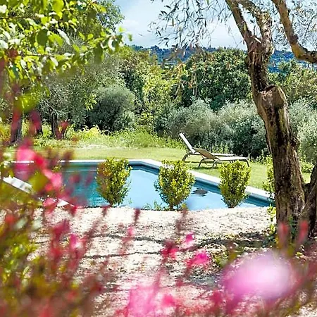 Prati Palai Bardolino